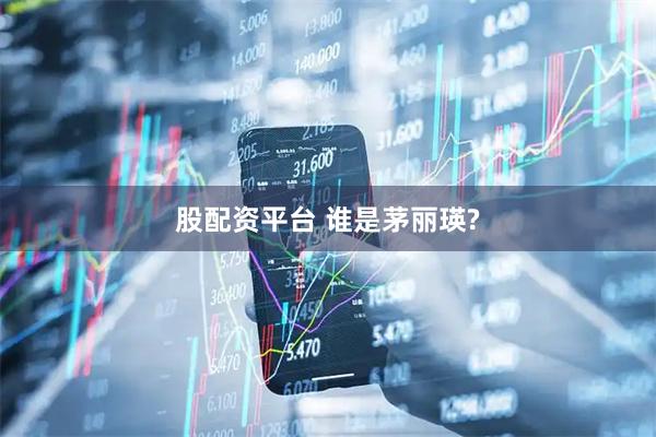 股配资平台 谁是茅丽瑛?
