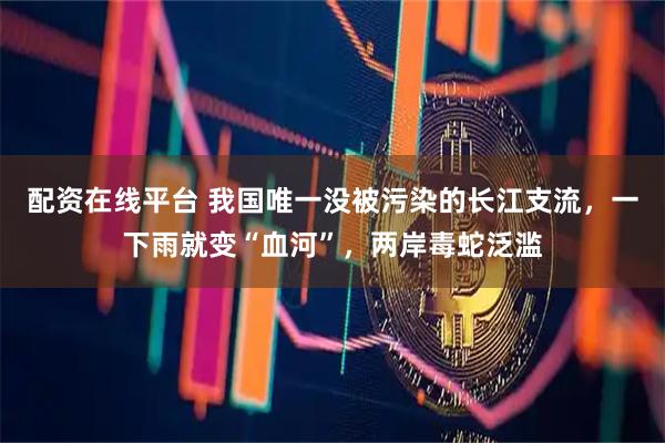 配资在线平台 我国唯一没被污染的长江支流，一下雨就变“血河”，两岸毒蛇泛滥
