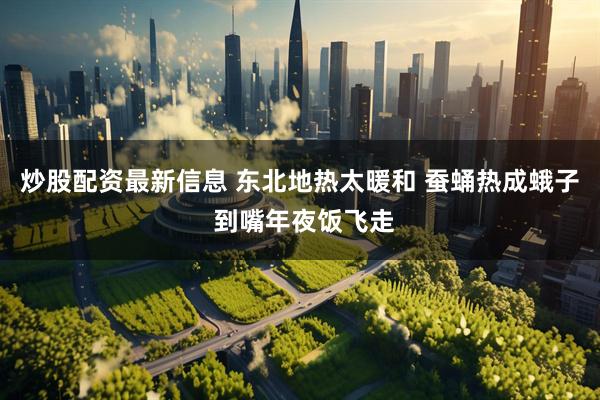 炒股配资最新信息 东北地热太暖和 蚕蛹热成蛾子 到嘴年夜饭飞走